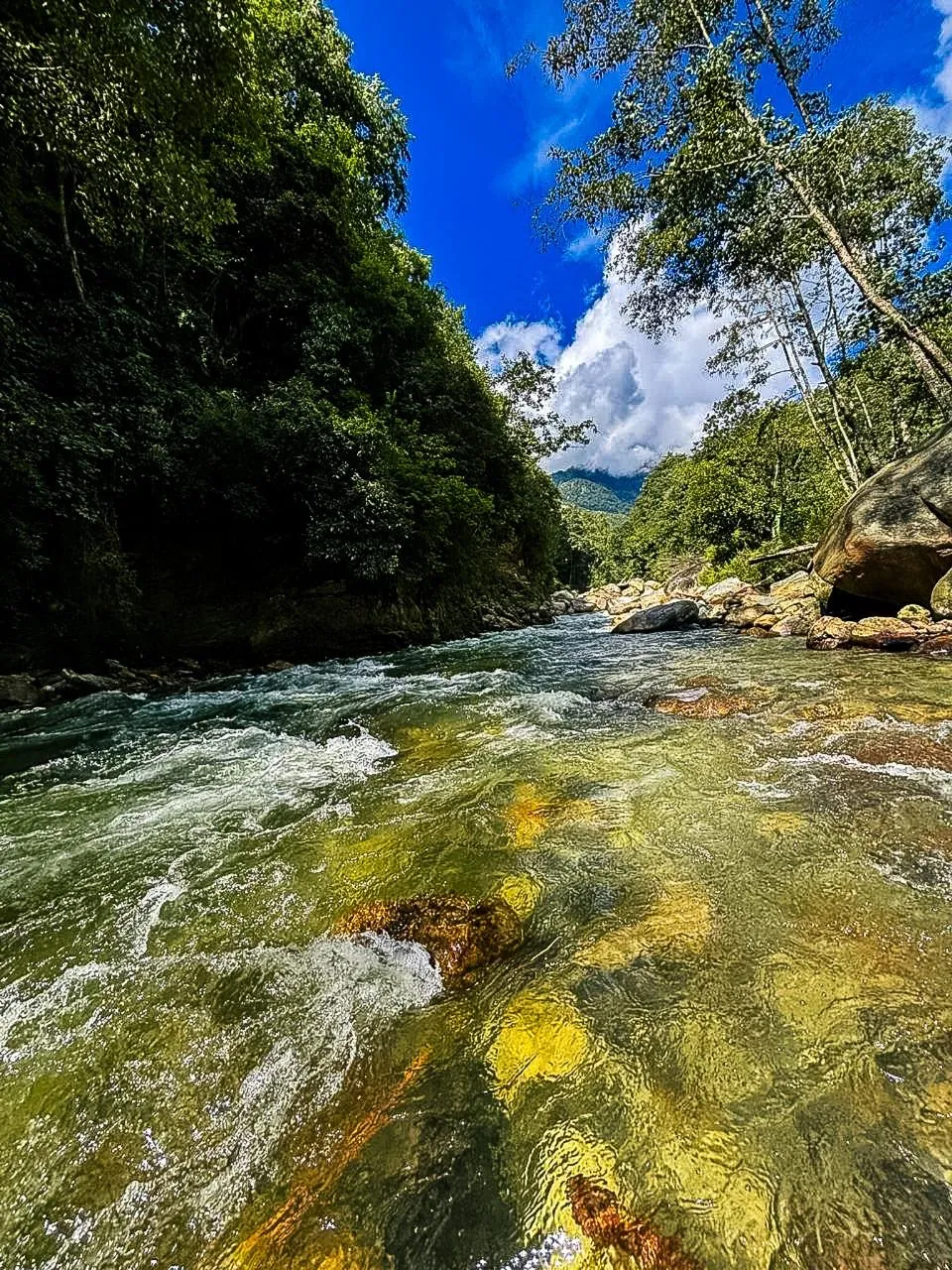 Beautiful river view from homestay