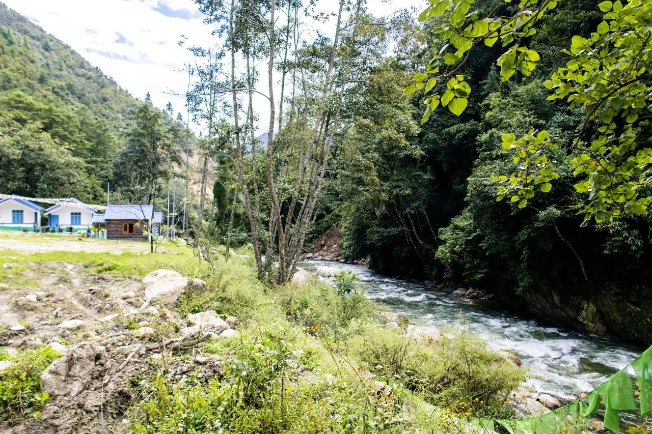 Riverside cottages with lush greenery